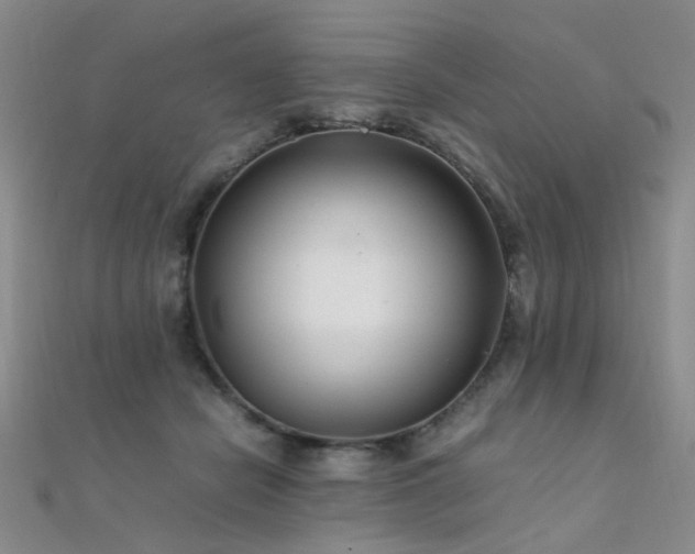 X0000112370462200908131521