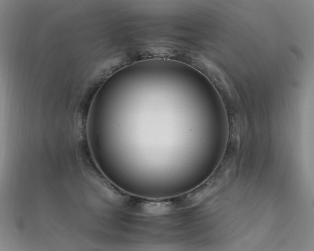 X0000112370465200908131521