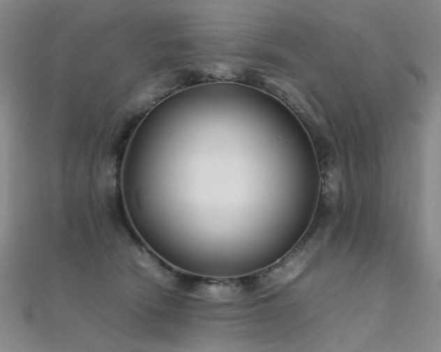 X0000112370466200908131521