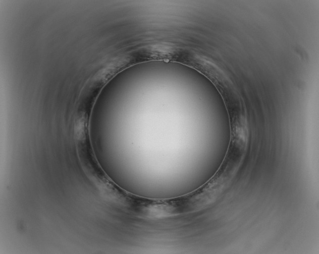 X0000112370468200908131521