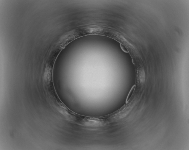 X0000112370475200908131521