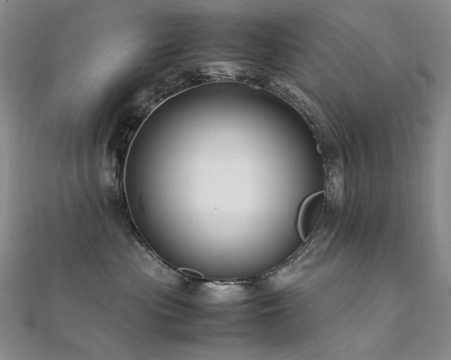 X0000112370477200908131521