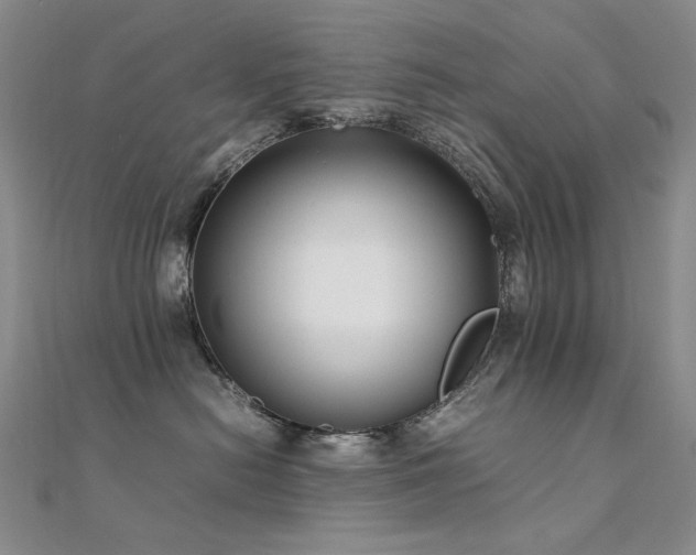 X0000112370478200908131521