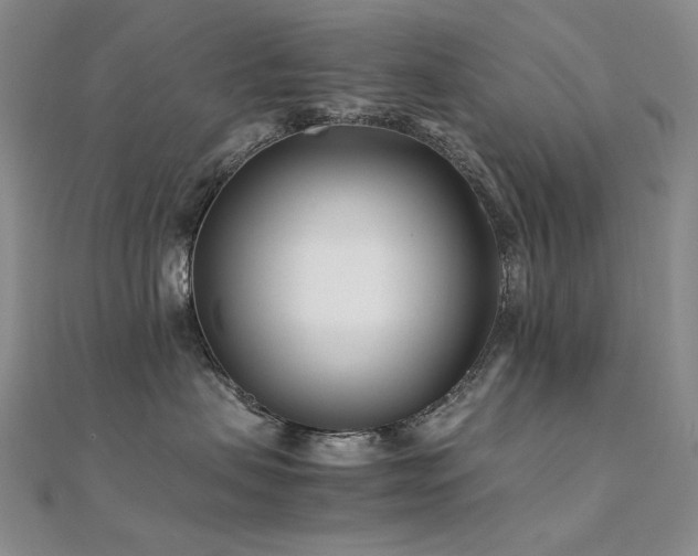 X0000112370479200908131521