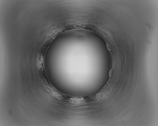 X0000112370480200908131521