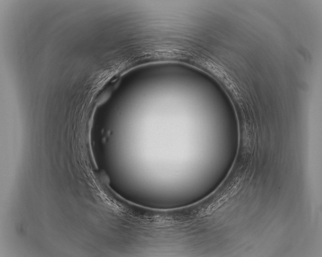 X0000112370481200908131521