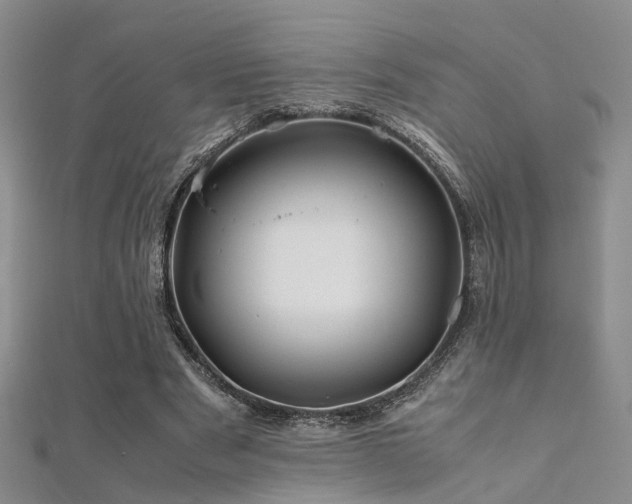 X0000112370489200908131521