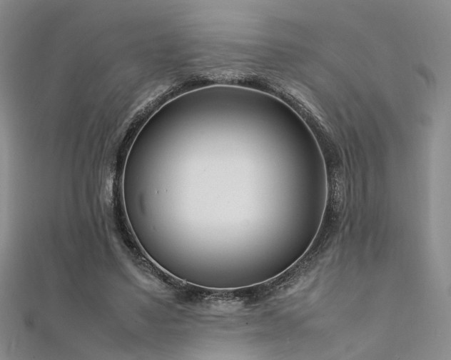 X0000112370491200908131520