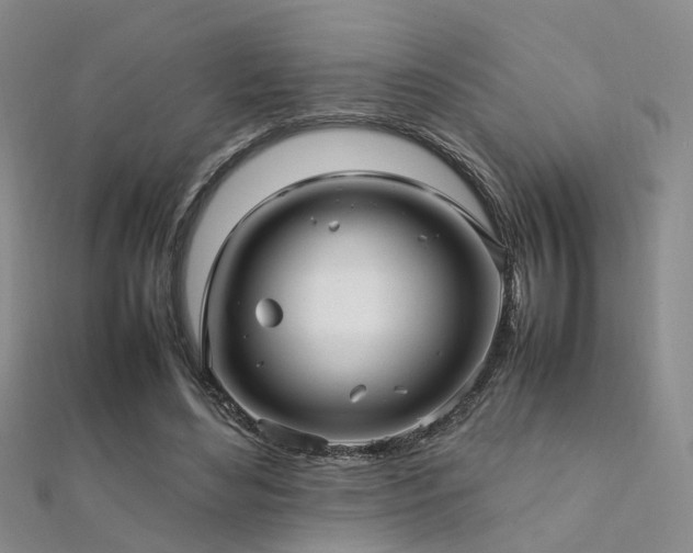 X0000112370492200908131520