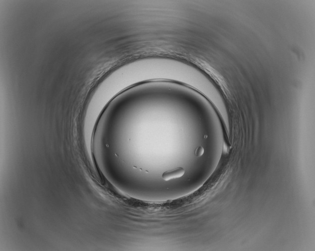 X0000112370493200908131520