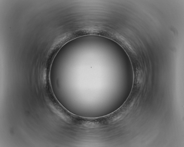 X0000112370494200908131520