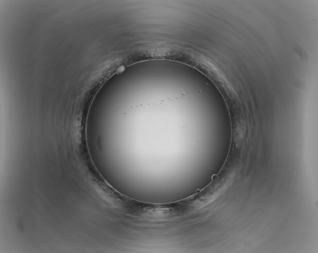 X0000112370497200908131520
