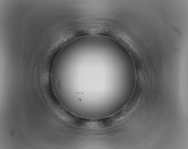 X0000112370499200908131520