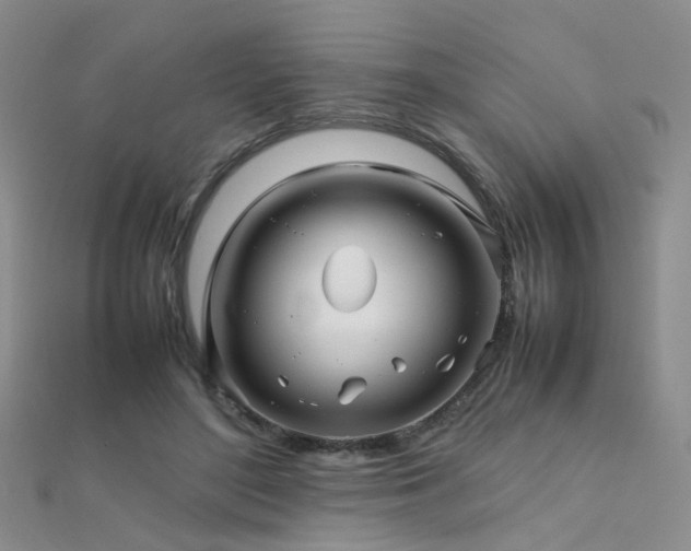 X0000112370500200908131520