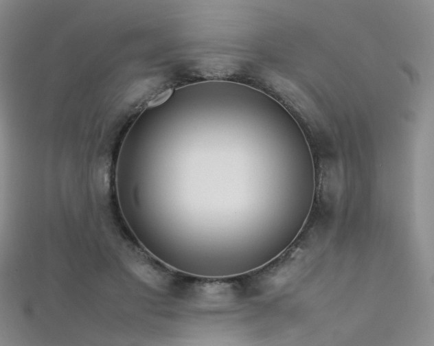 X0000112370501200908131520