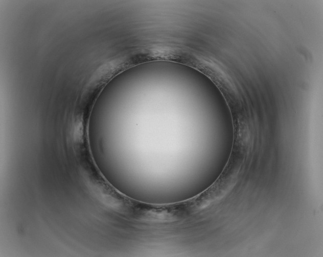 X0000112370502200908131520