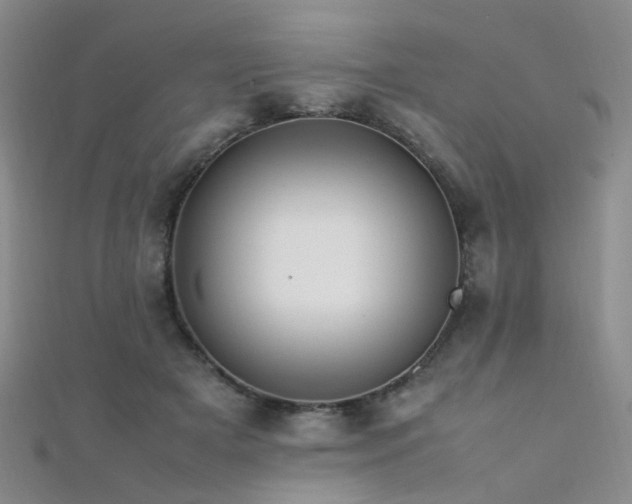 X0000112370505200908131520