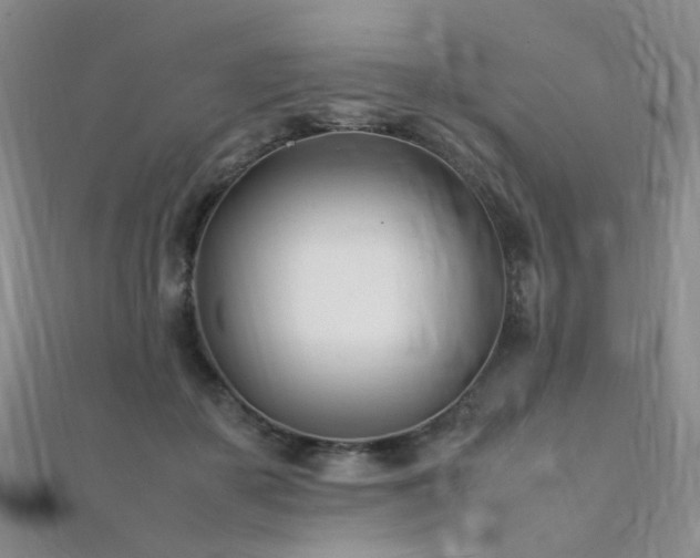 X0000112370507200908131520