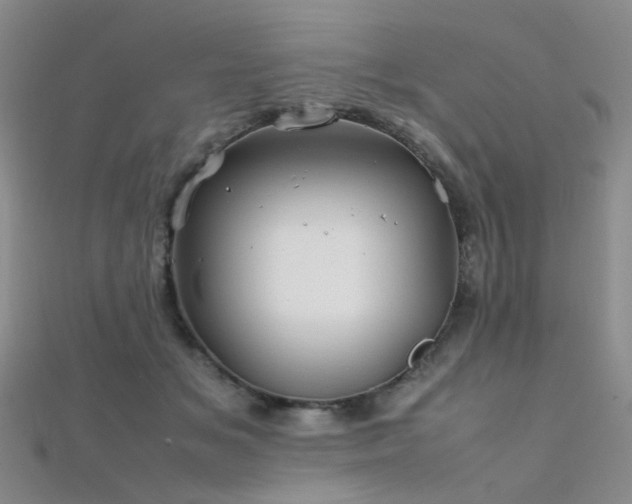 X0000112370509200908131520