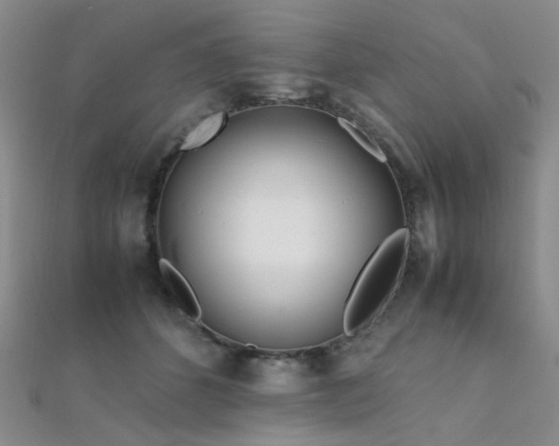 X0000112370512200908131520