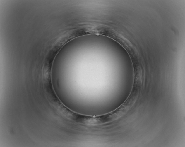 X0000112370513200908131520