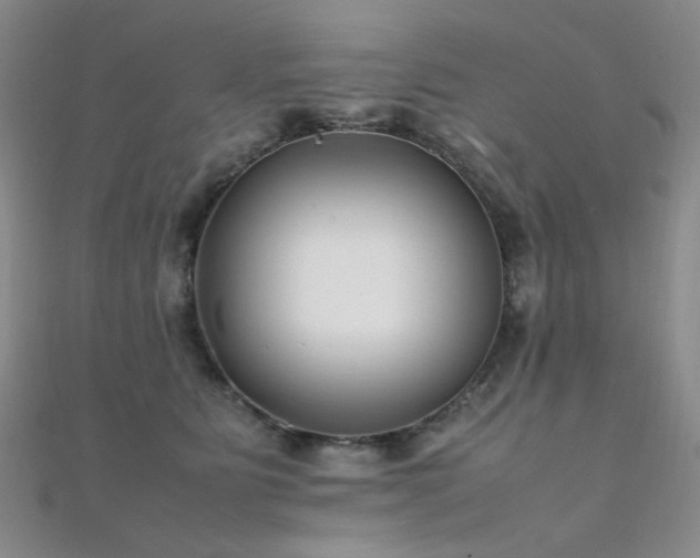 X0000112370515200908131520