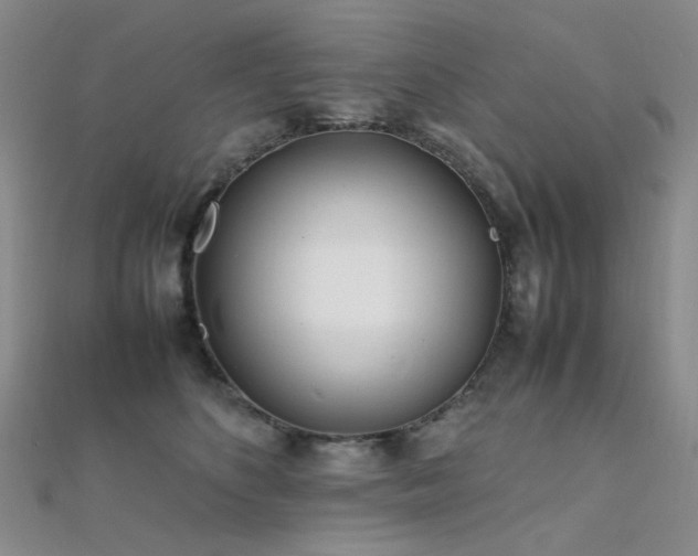 X0000112370516200908131520