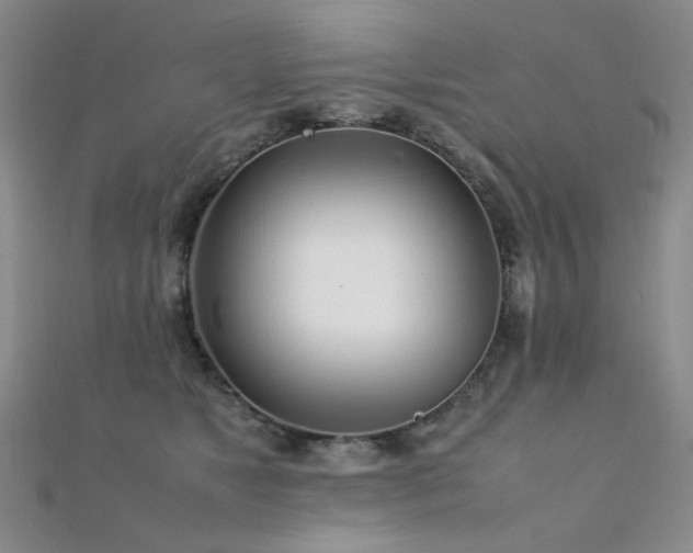 X0000112370517200908131520