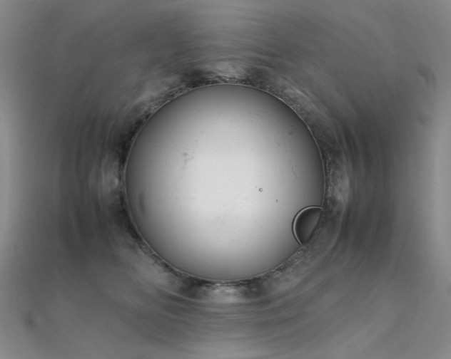 X0000112370518200908131520