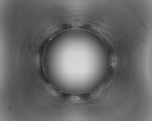 X0000112370519200908131520