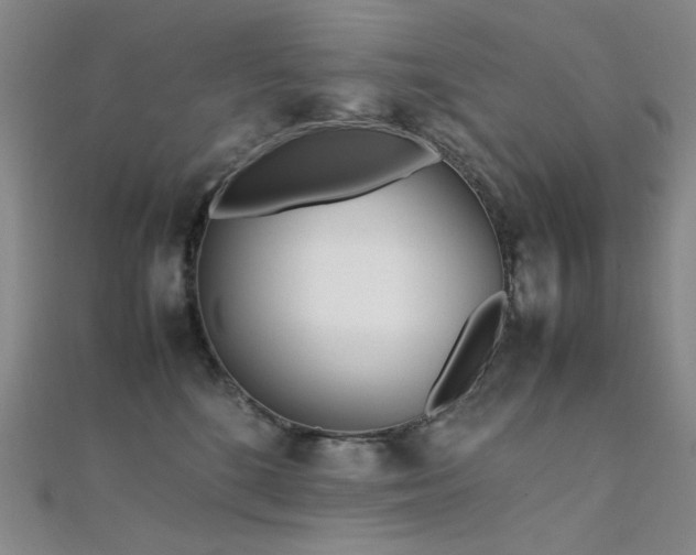 X0000112370520200908131520