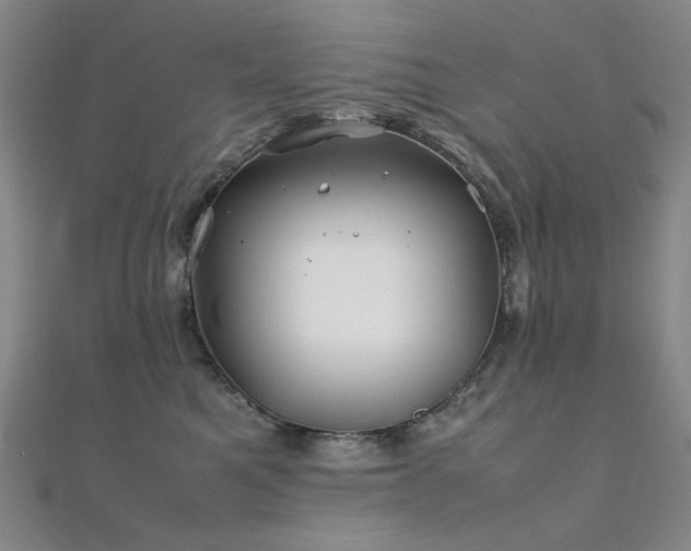 X0000112370521200908131520