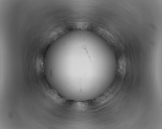 X0000112370522200908131520