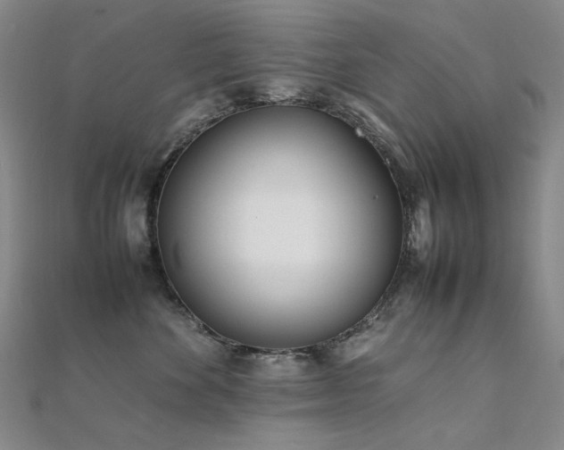 X0000112370524200908131520