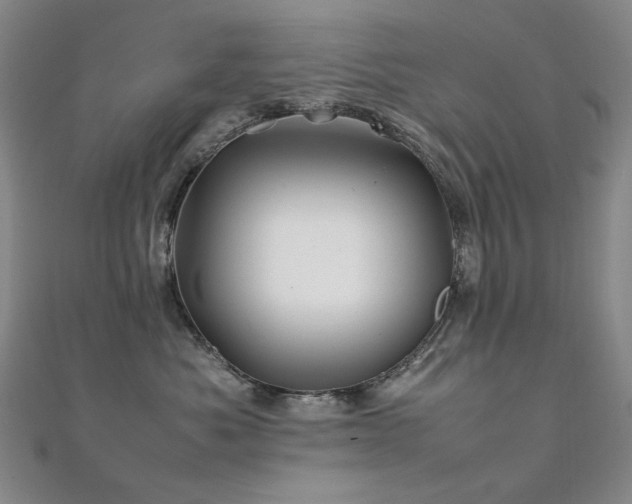 X0000112370525200908131520