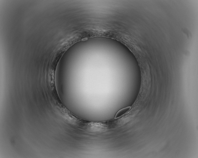 X0000112370528200908131520