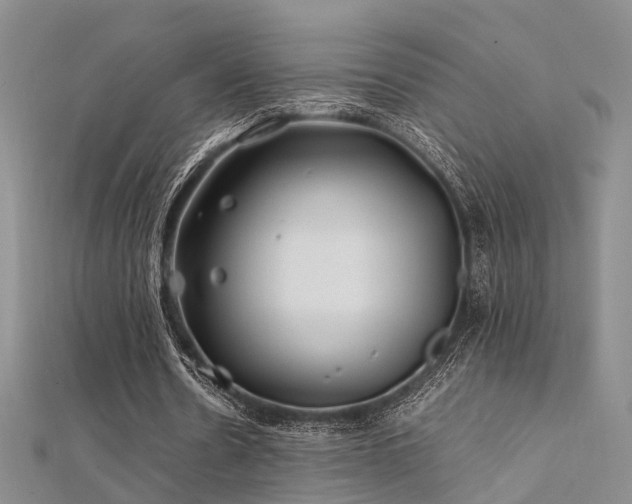 X0000112370530200908131519
