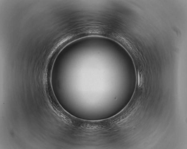 X0000112370531200908131519