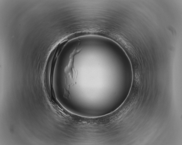 X0000112370532200908131519
