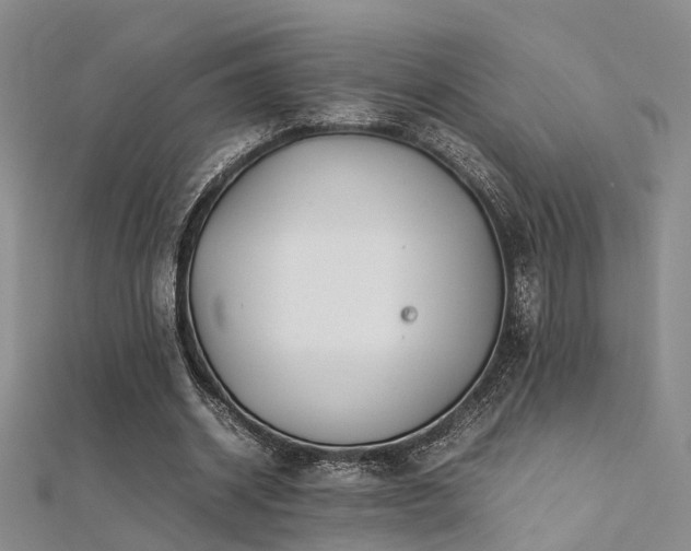 X0000112370534200908131519