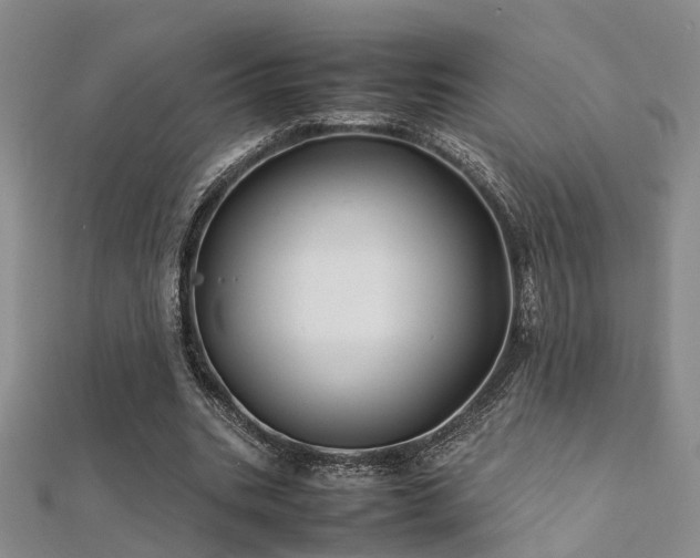 X0000112370535200908131519