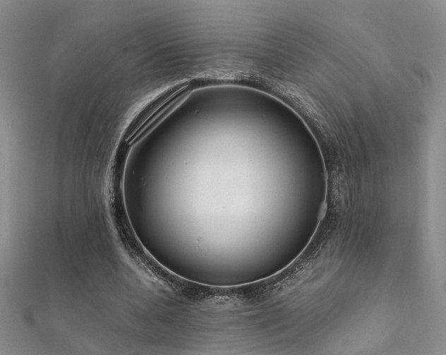 X0000112370536200908131519