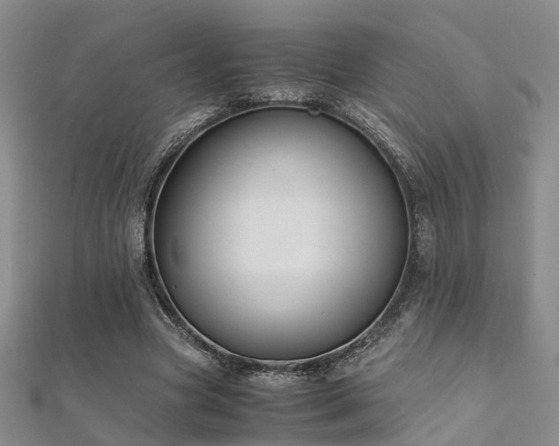 X0000112370537200908131519