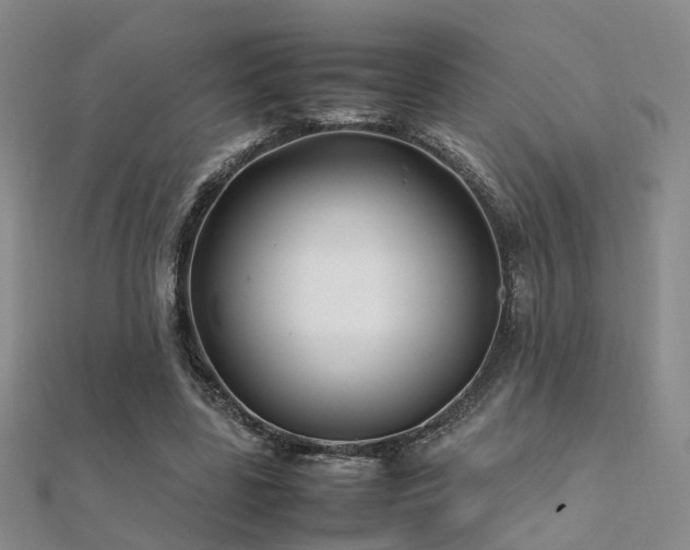 X0000112370539200908131520