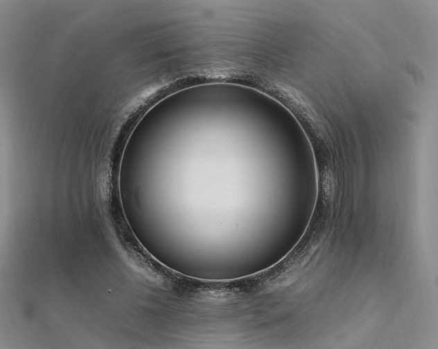 X0000112370540200908131520