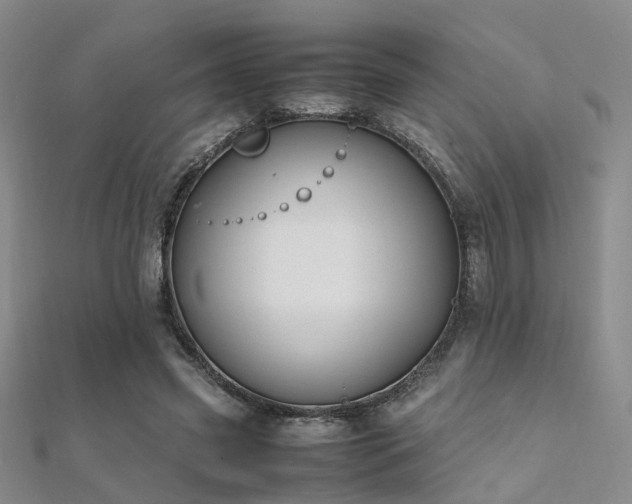 X0000112370541200908131520