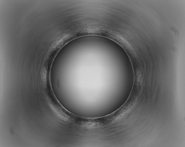 X0000112370542200908131520