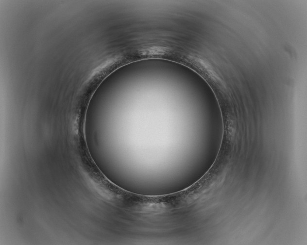 X0000112370543200908131520