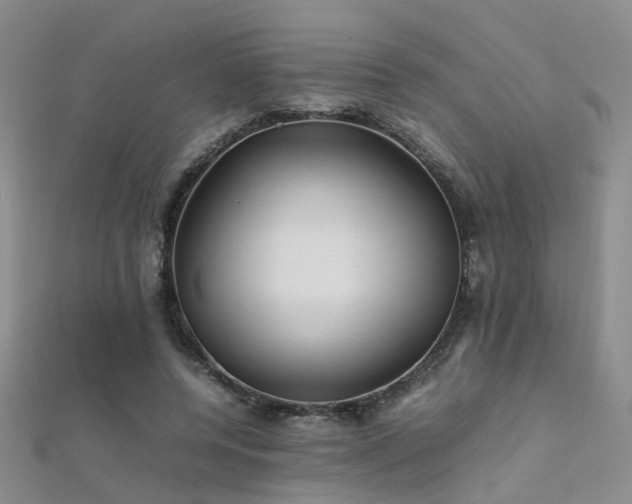 X0000112370544200908131520