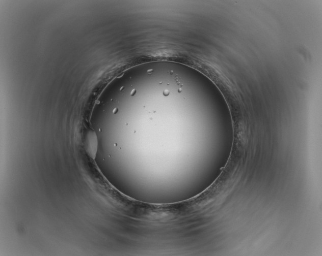 X0000112370547200908131520